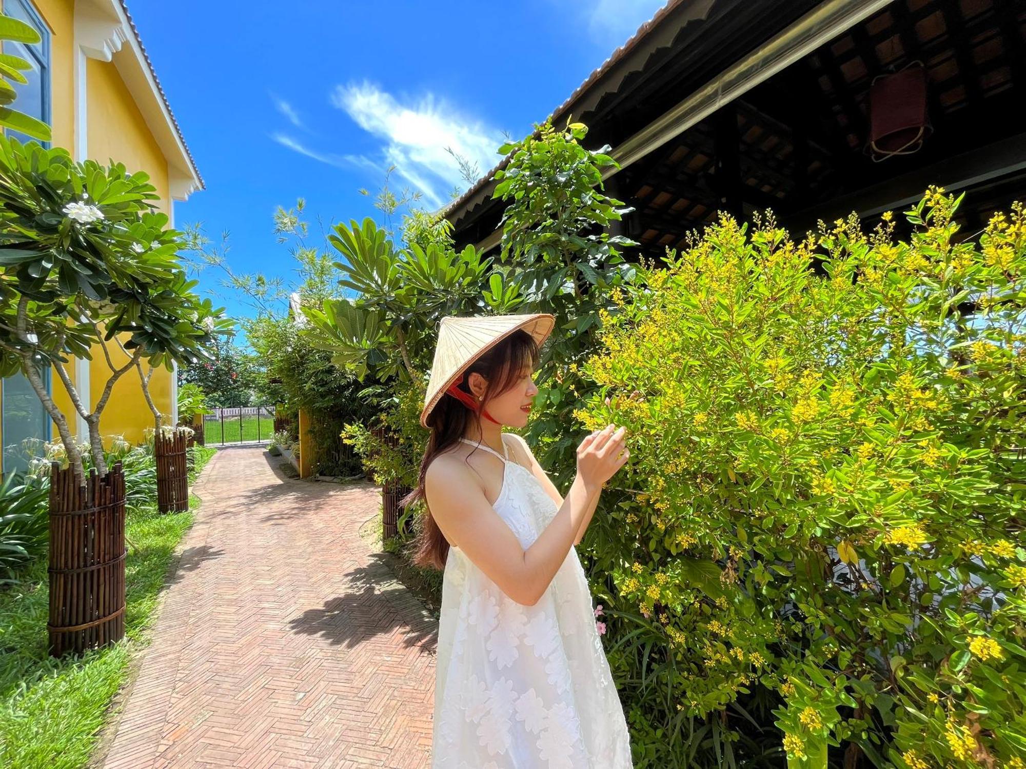 Chez Mimosa Hoi An - Rice Field - New Address Dx18, Thanh Nhut, Cam Thanh Exteriör bild